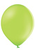 008 Apple Green PMS 372 008 Apple Green PMS 372