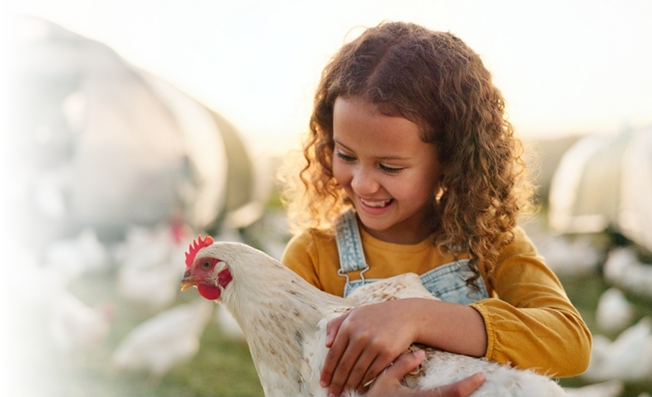 Ostereier mit Logo Geflügelhof Thomas Ostereier mit Logo Geflügelhof Thomas