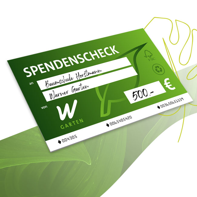 individueller Spendenscheck