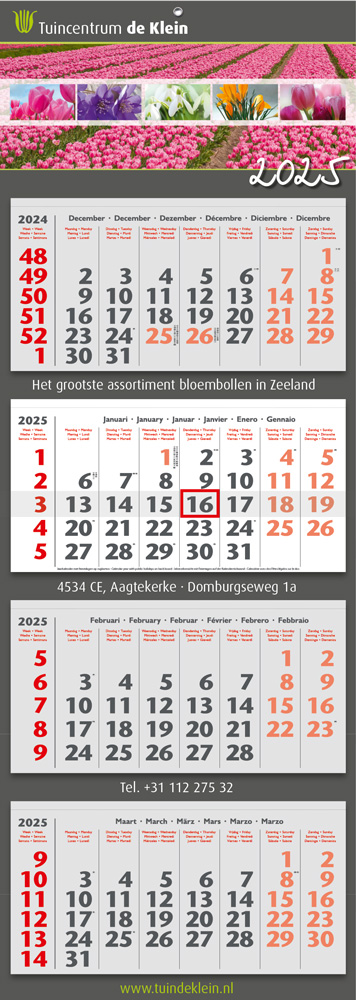 Junior Benelux 4M