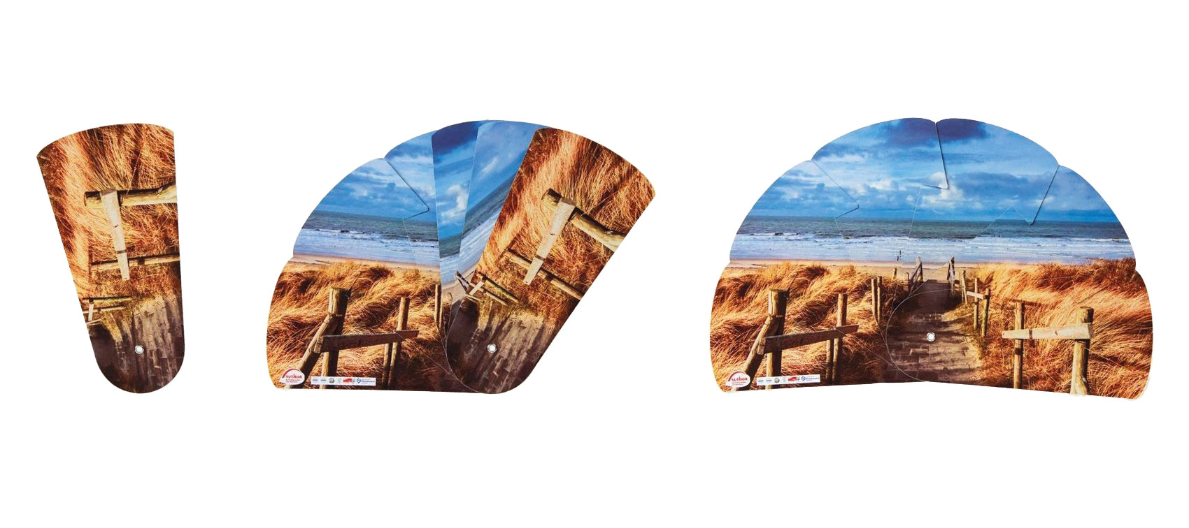Segment Handfächer