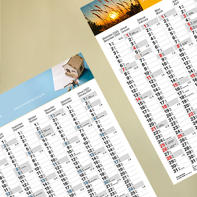 Wandplaner Data Wandplaner Data Deutsch/Englisch