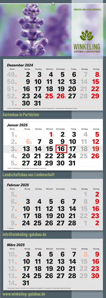 Junior Deutsch 4M Junior Deutsch 4M