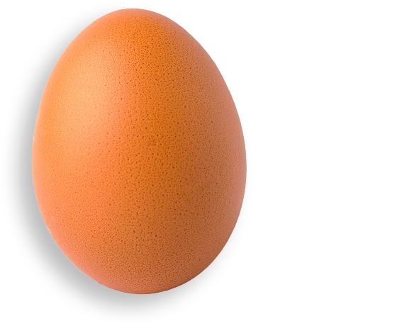 Ostereier mit Logo Nährwerte der Eier Ostereier mit Logo Nährwerte der Eier