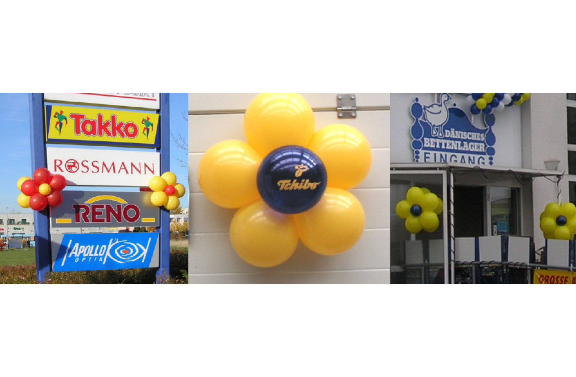 Ballonblumenset