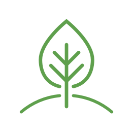 bulb-flow-swiss-made.png